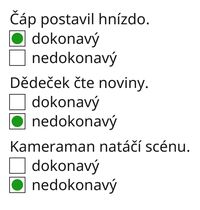 Bucket.CestinaVid