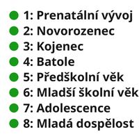 Human Life Stages (Sequence, CS)