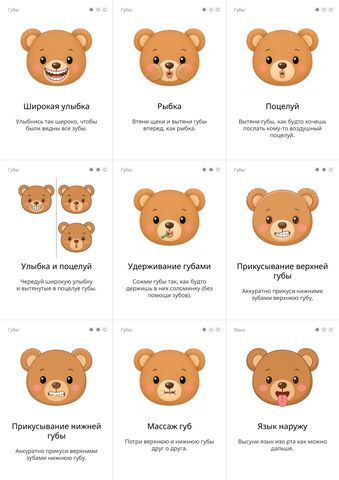 Oromotor--Teddy--RU
